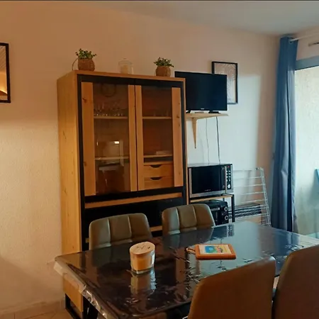 Daire Canet-en-roussillon: T2 Avec Clim Et Parking, A Proximite! - Fr-1-794-163