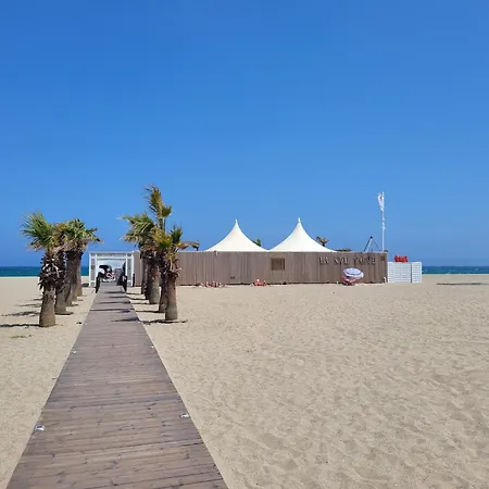 Canet-en-roussillon: T2 Avec Clim Et Parking, A Proximite! - Fr-1-794-163 *