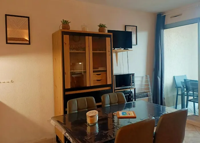 Appartamento Canet-en-roussillon: T2 Avec Clim Et Parking, à Proximité! - Fr-1-794-163