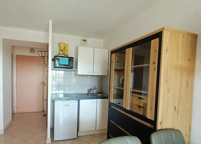 Appartamento Canet-en-roussillon: T2 Avec Clim Et Parking, à Proximité! - Fr-1-794-163